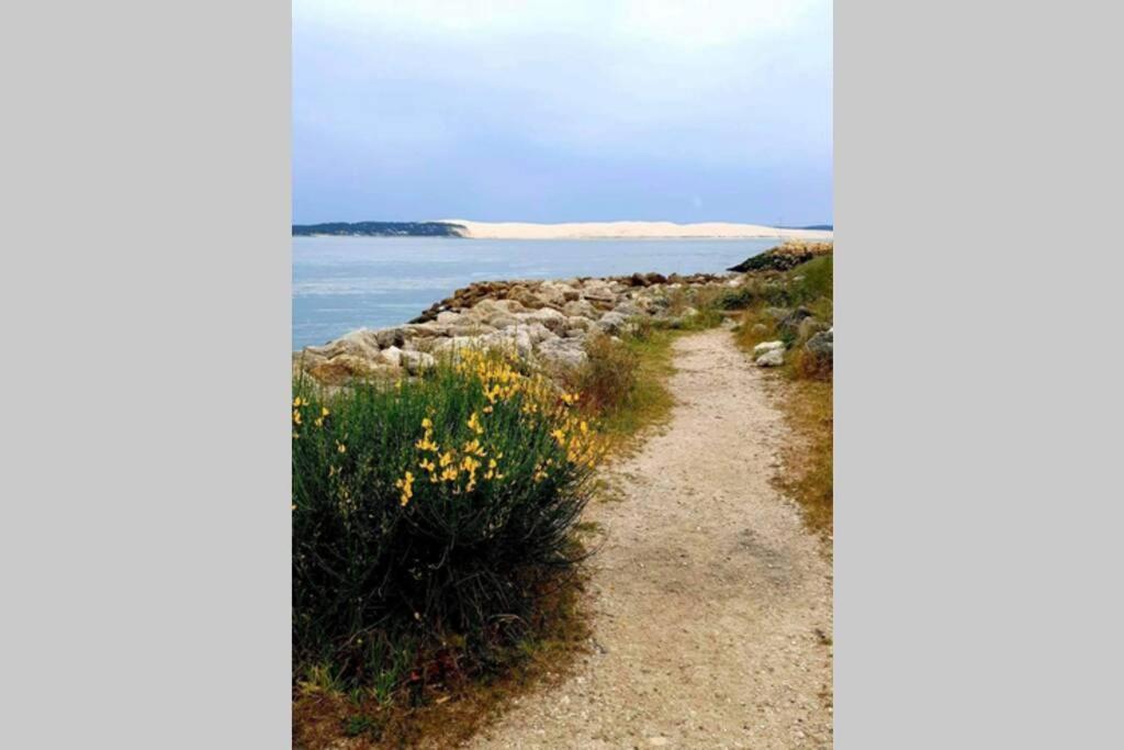 Colibri Appart' T2 Au Coeur Du Bassin D'Arcachon Gujan-Mestras Eksteriør billede