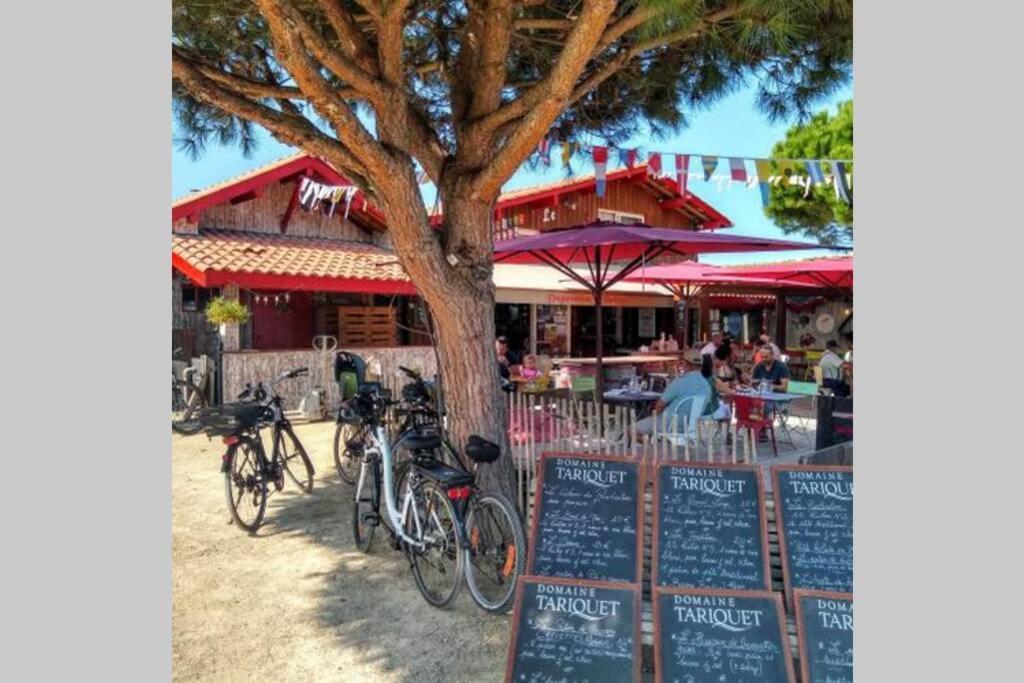 Colibri Appart' T2 Au Coeur Du Bassin D'Arcachon Gujan-Mestras Eksteriør billede
